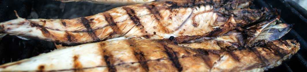 Fisch Spezialitäten